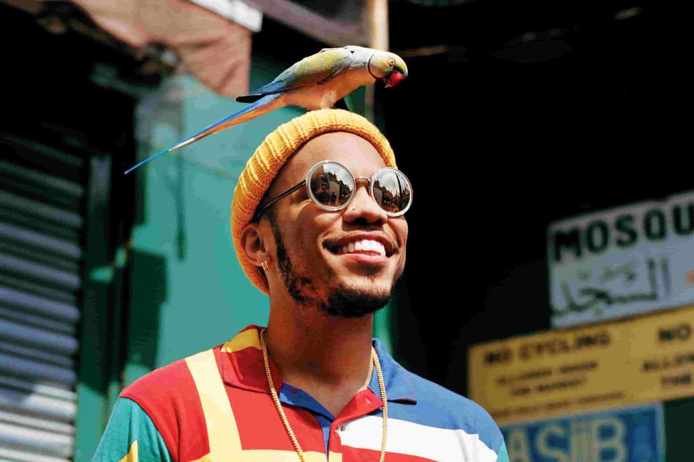 Image of Anderson Paak a Singer, Rapperm, and Drummer 